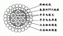 W7PFAPP-12.04mm氟塑料PFA絕緣雙鋼絲鎧裝承荷探測(cè)電纜