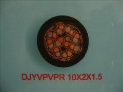 WDZ-DJYPYPR?10*2*1.5低煙無(wú)鹵阻燃計(jì)算機(jī)電纜